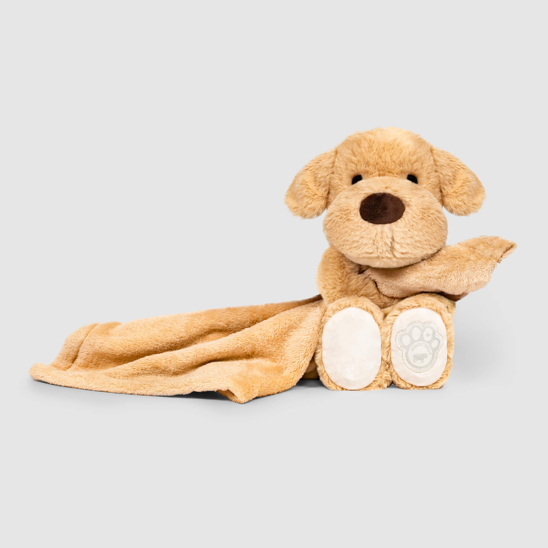 Weighted Calming Toy B0